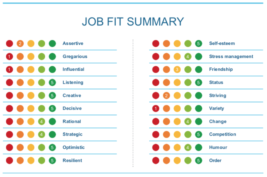 Job fit summary - selection report
