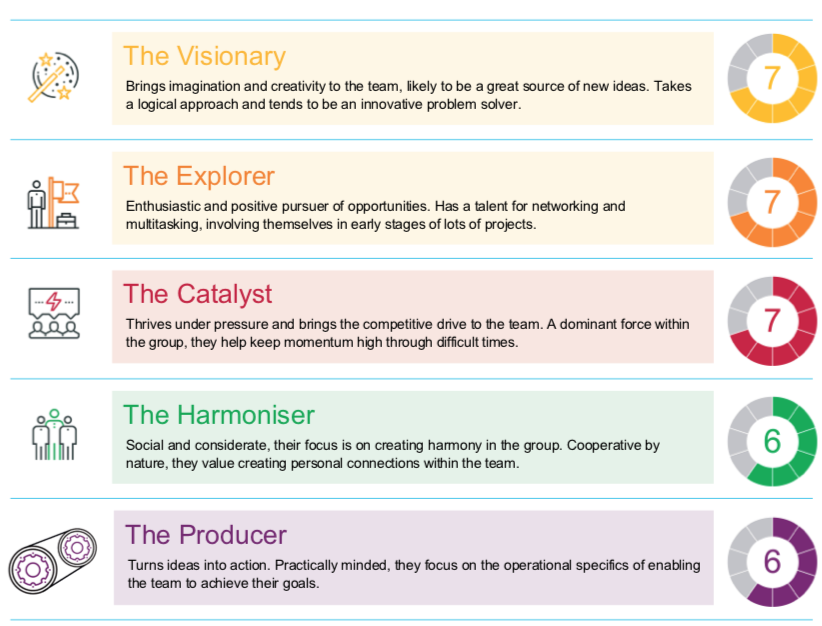 Team strengths report - strengths summary