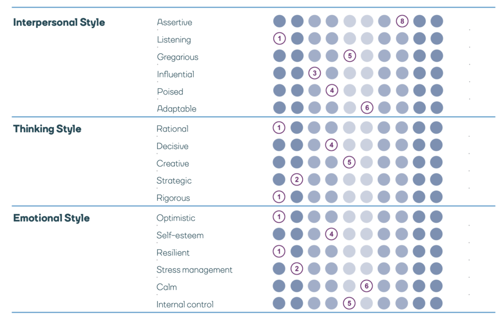 Insights report - profile summary