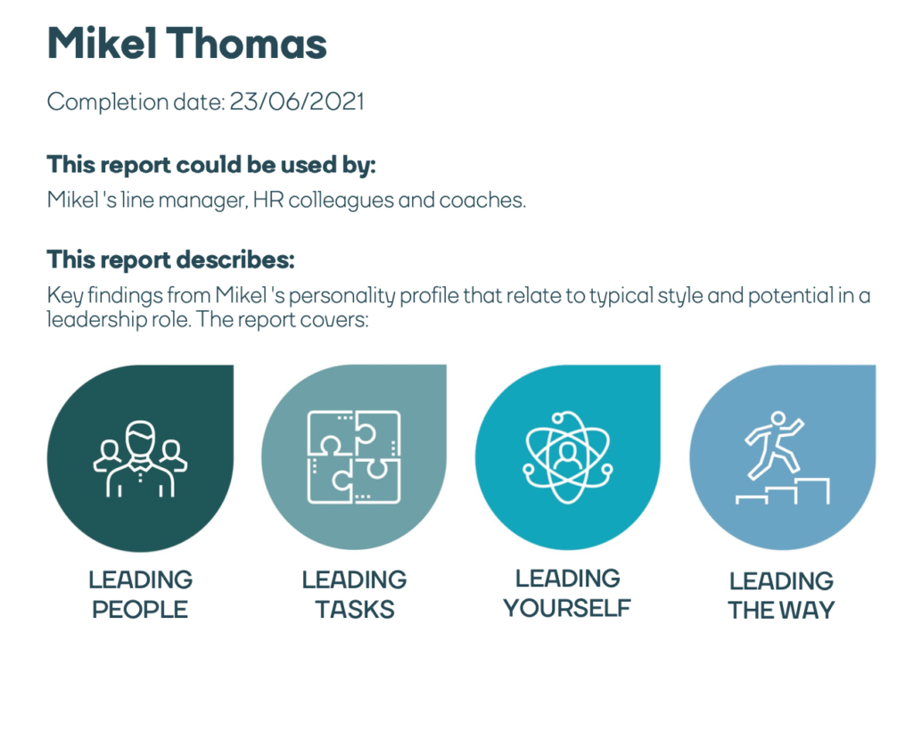 Leadership report - summary