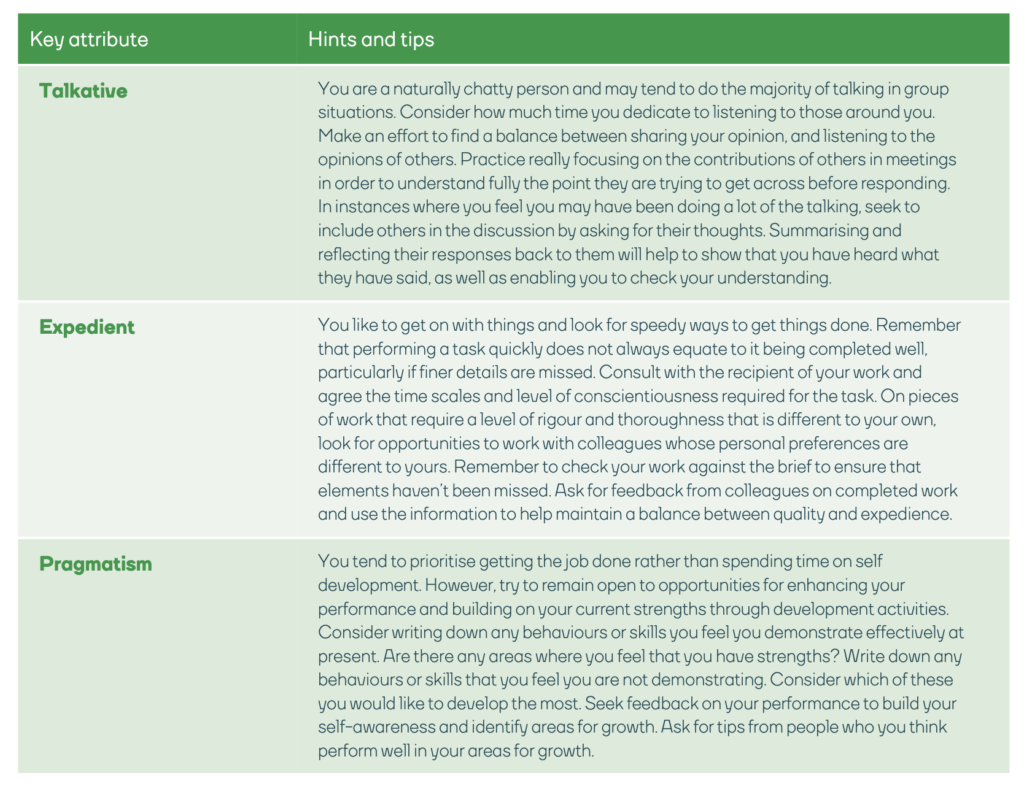 Personal feedback report - work styles