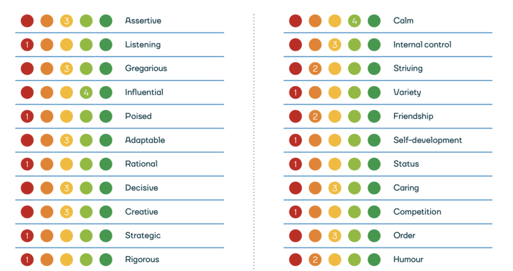 Selection report - job fit summary