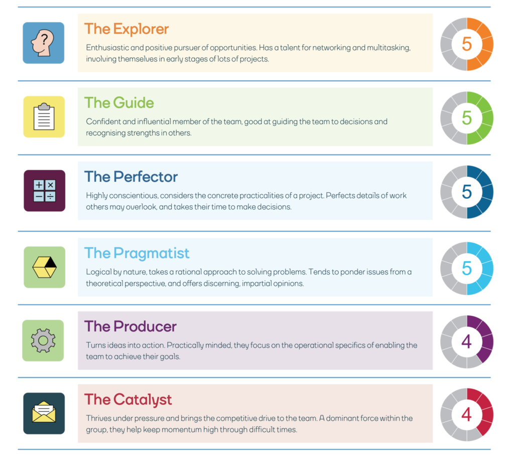 Team strengths report - summary